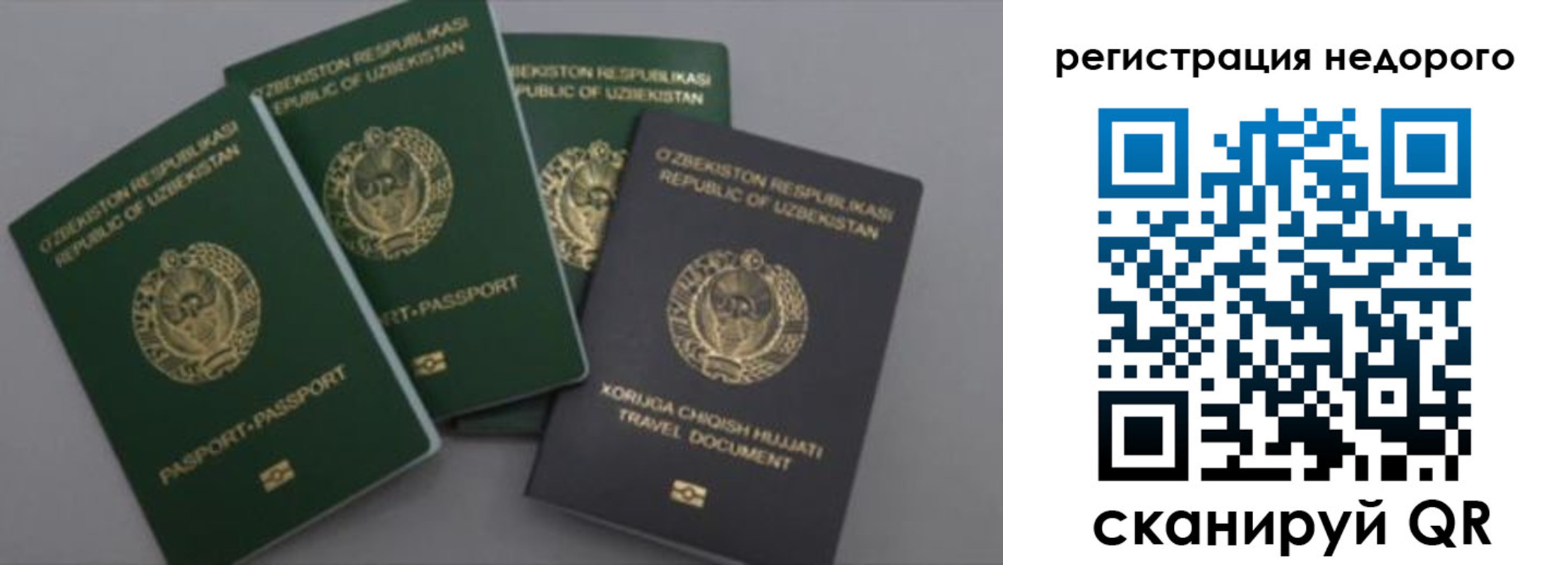 пропишу в квартире в Дорогобуже